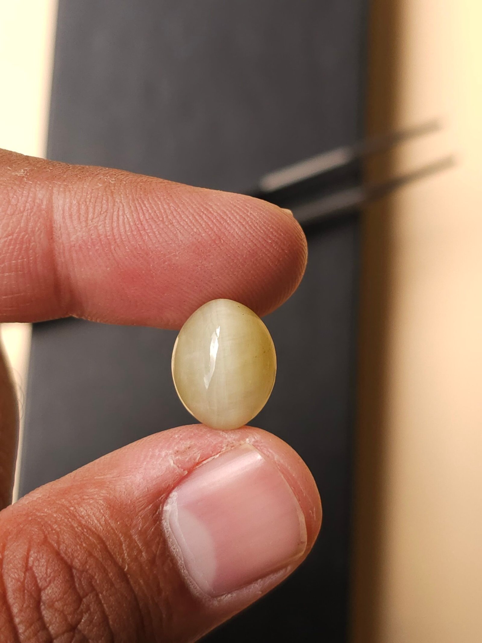 Natural Cat’s Eye Gemstone — 8.50 Carat